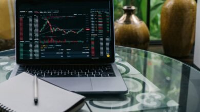 beginner stock tips 2025