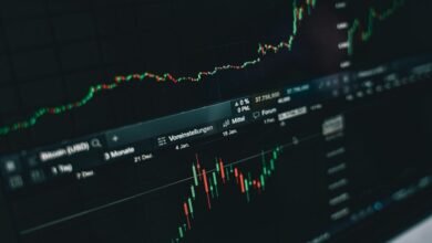 sunshine focused stock predictions