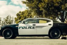 legal services and overview