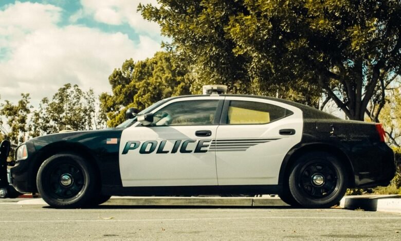 legal services provided comprehensively