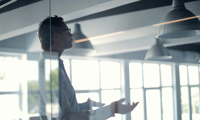 business insight identification numbers