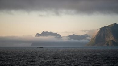 market review with numbers