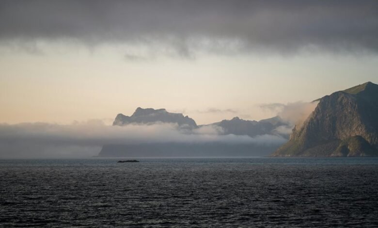 market review with numbers