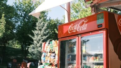 brand growth and visibility