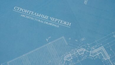 organic traffic growth strategy